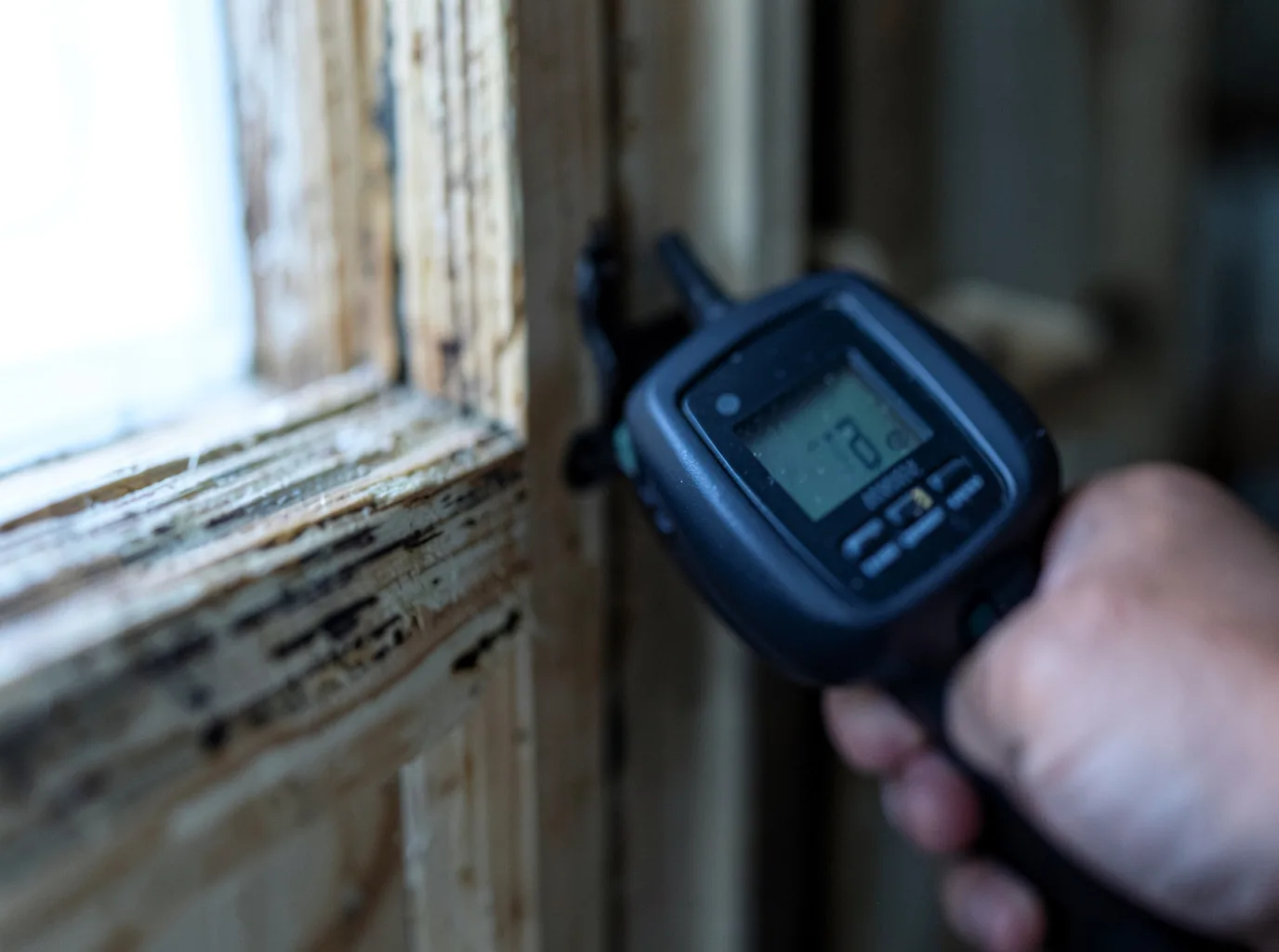 Commercial Water Damage Restoration in Rosalia, WA